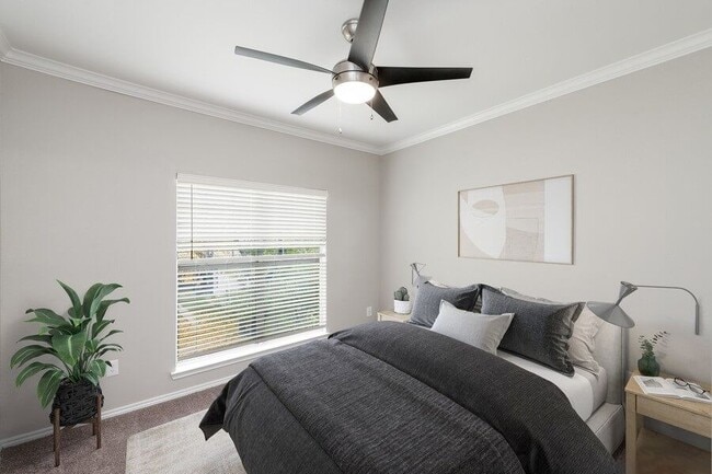 Allure North Dallas