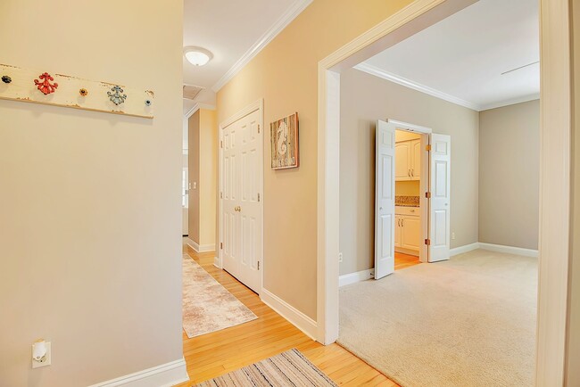 Photo - Pawleys Glen II