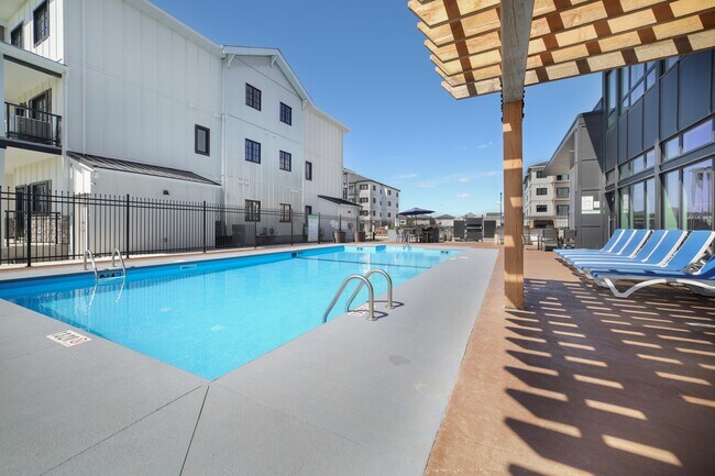 Photo - The Tradition at Bridgwater