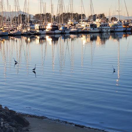 Photo - 5 Admiral Dr Unit 218