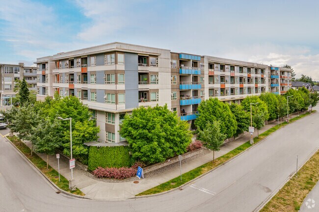 Photo - Camellia At The Gardens
