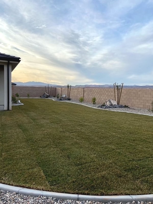 Photo - 1395 E Black Brush Dr