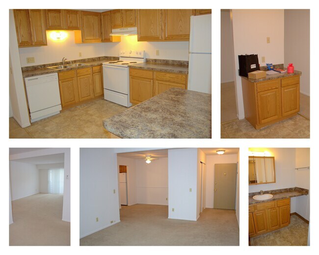 Springtree Apartments