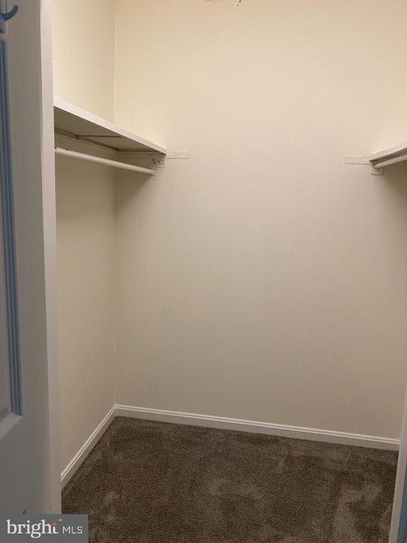 Building Photo - 9621 Hagel Cir Unit D Rental