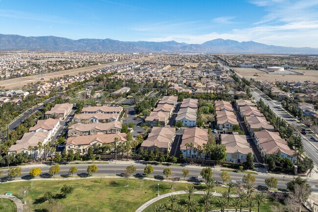 Photo - Rosabella at Shady Trails