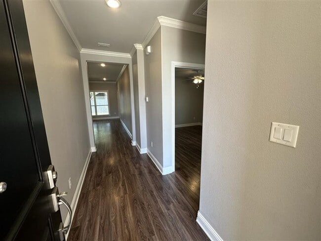Photo - Magnolia Park #10746