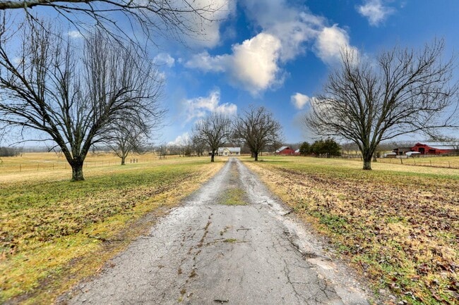 Photo - 2030 Spring Creek Rd