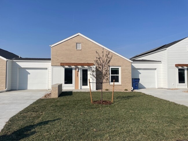 Photo - Vintage Rows