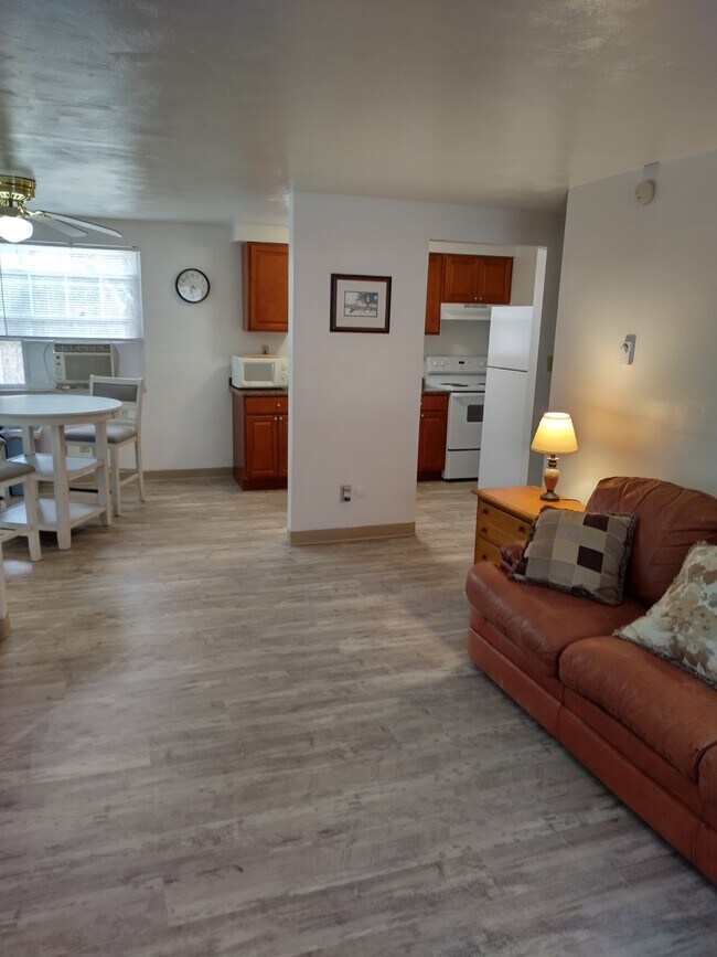 1 BR - Living Room