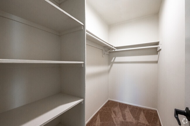 1BR, 1 BA - Closet