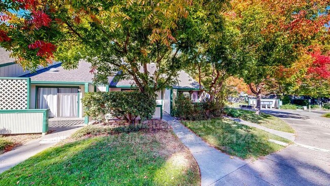 Photo - 539 Norlee St