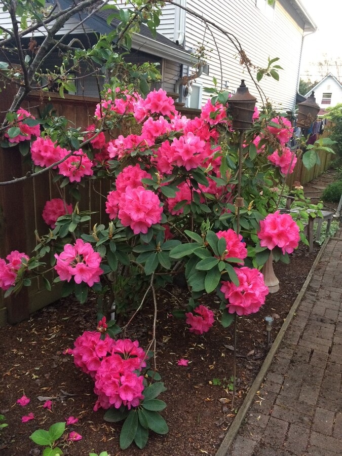 Photo - 1728 26th Ave S