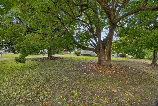 Photo - HUGE YARD IN THE HEART OF WECO!