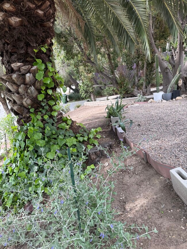 Photo - 2110 Glendale Blvd