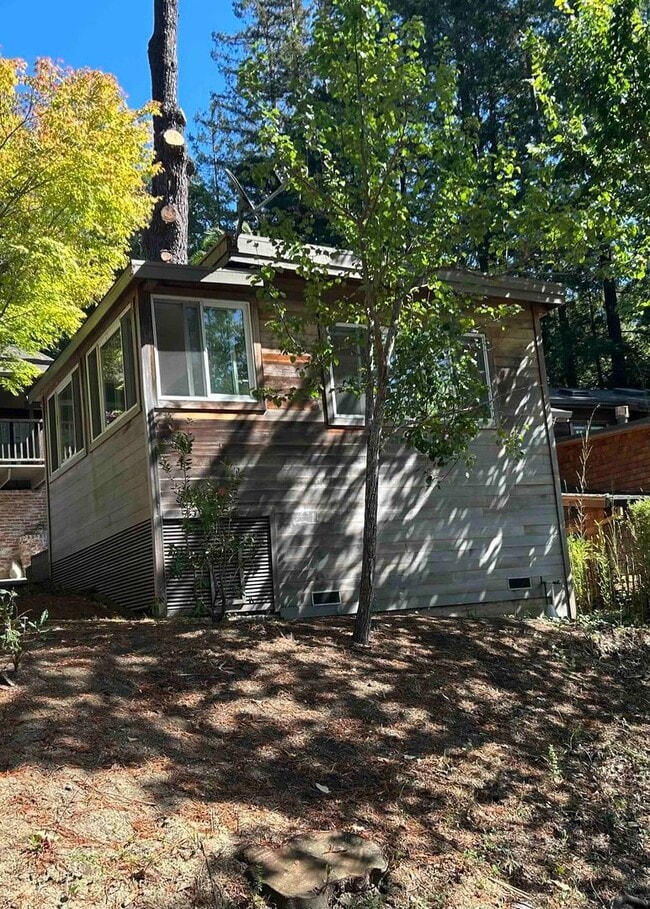 Photo - Beautifully Remodeled Studio Downtown