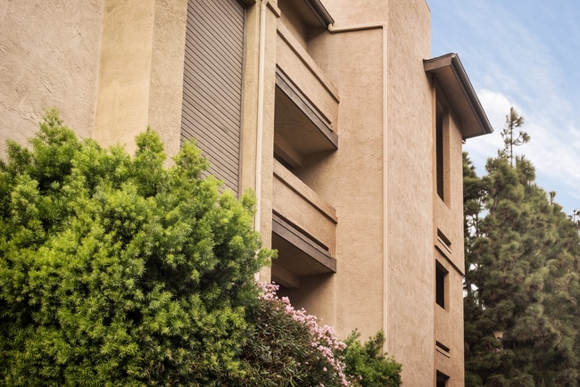 Vista de entrada de la comunidad - Elan View Pointe