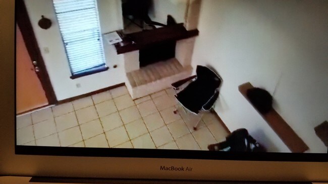 Cozy Living Room - 3113 Wayside St