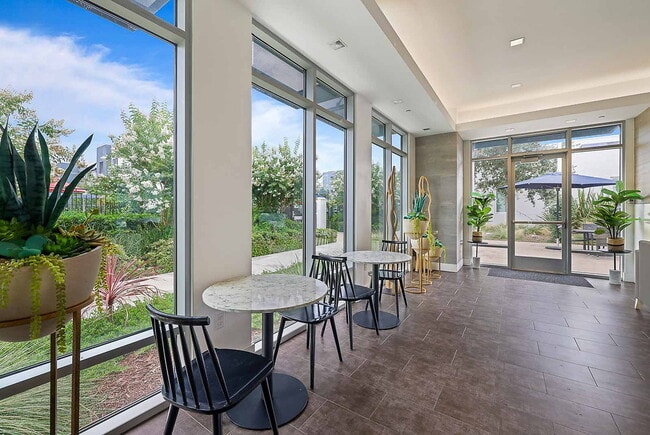 Photo - The Galloway