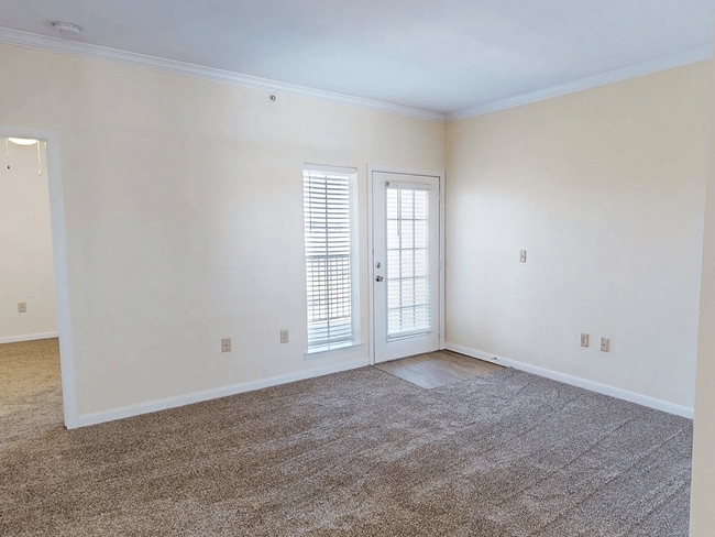 Plush Cozy Carpeting