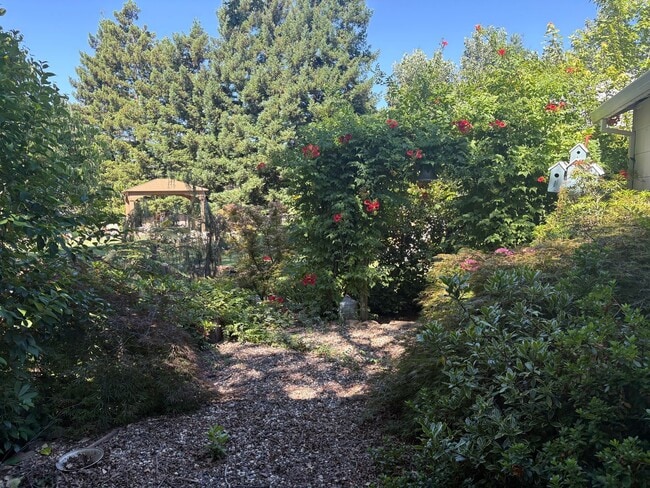 Photo - 5703 Chapel Dr
