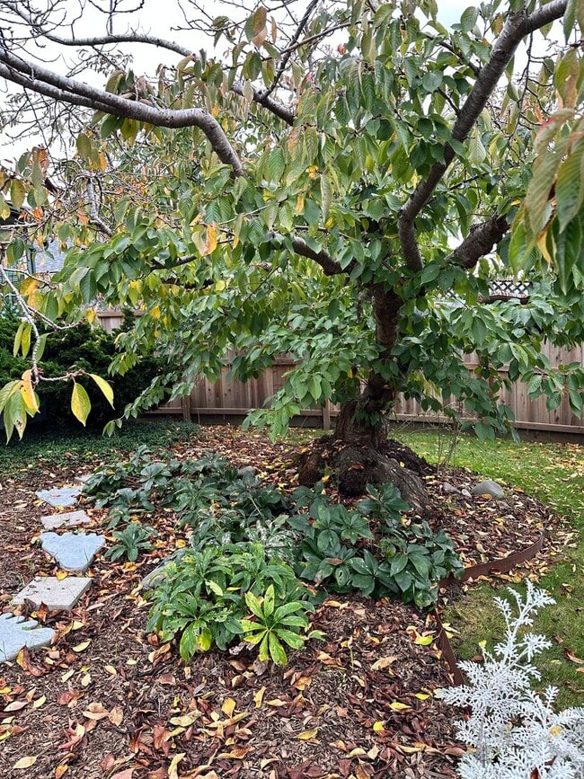 Photo - 2 Bedroom/ 1 Bath House in Eureka, Single car Garage with Washer & Dryer included!!