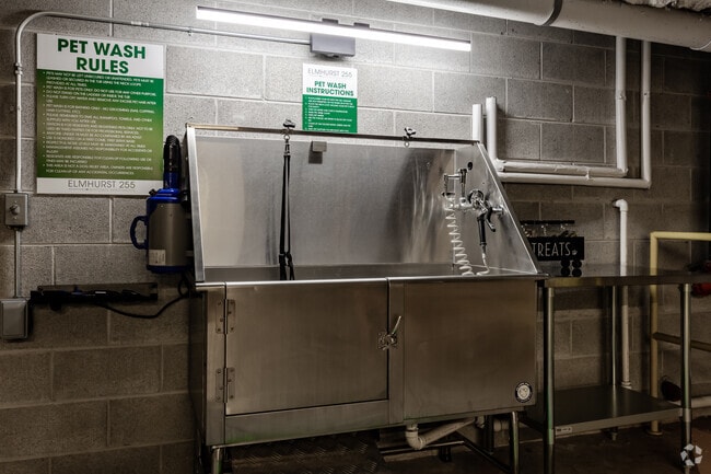 Pet Wash