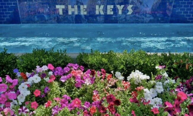 Building Photo - 350 N Civic Dr Unit 407