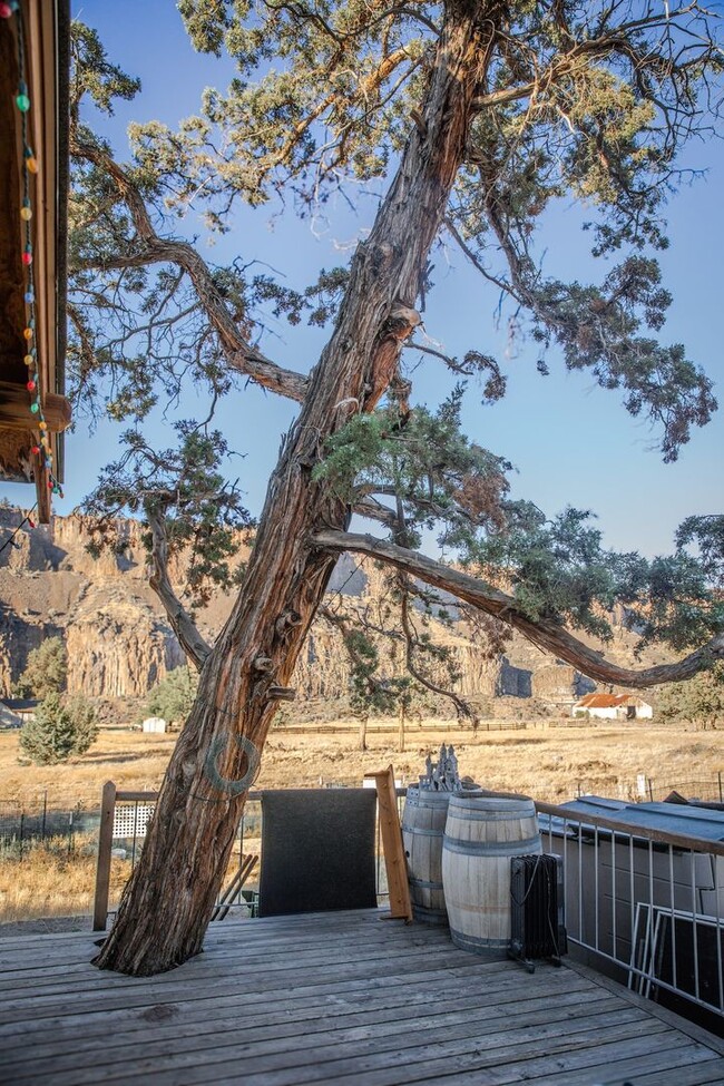 Photo - 6690 Old Ranch House Rd