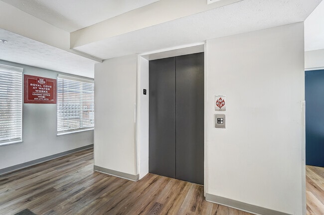 Gestión profesional in situ - Royal Cove