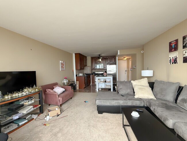 Photo - 1150 N Lake Shore Dr Unit 7B