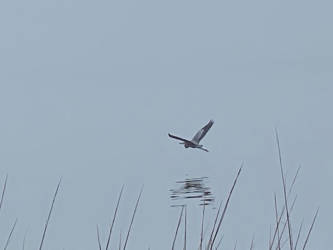 Photo - 219 Patane Unidad A