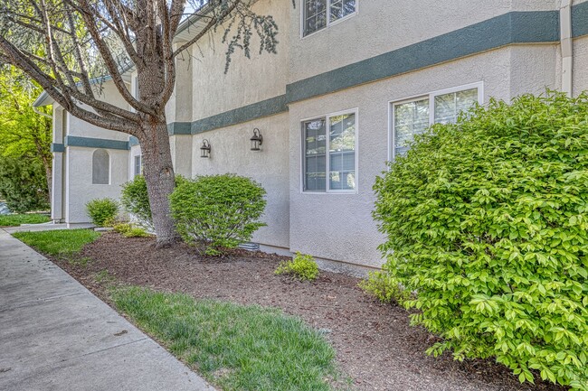 Photo - The Pines Apartments