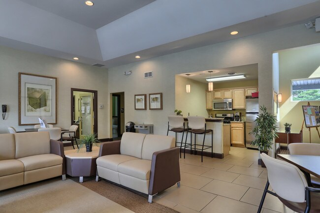 Treeview Apartments