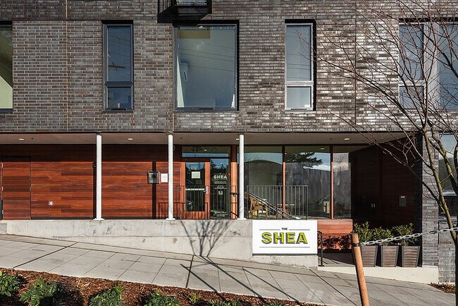 Photo - Shea