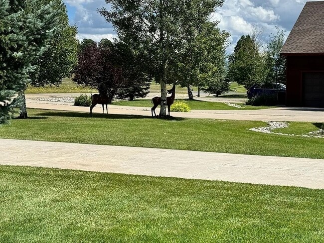 Photo - Wedgewood Villas