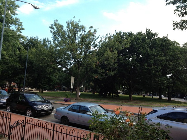 On Lincoln Park