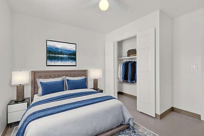 Photo - Homeward Bound