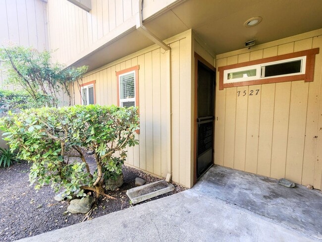 1 Bedroom Condo For Rent - 1 Bedroom Condo For Rent