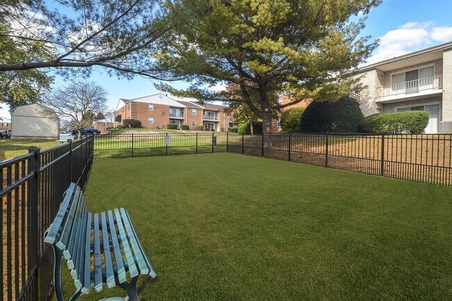 Shaded Dog Park