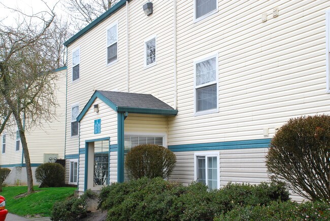 Bristol Woods - Bristol Woods Apartamentos