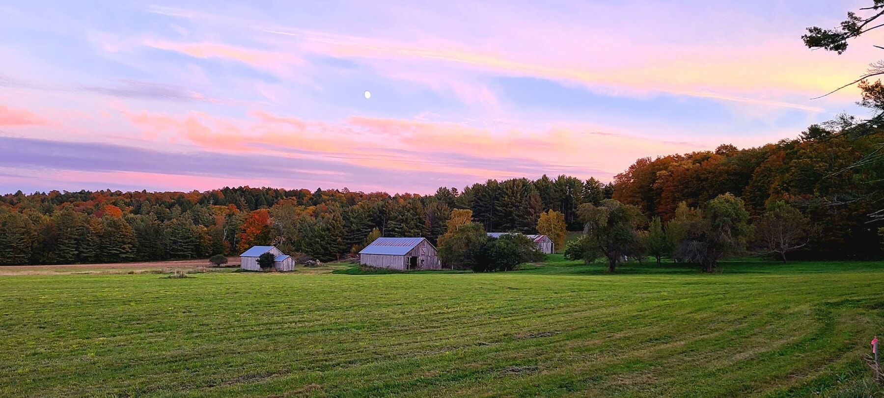 Photo - 777 Morgan Mile Rd House
