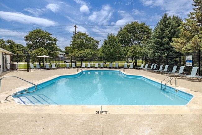 Refreshing Swimming Pool
