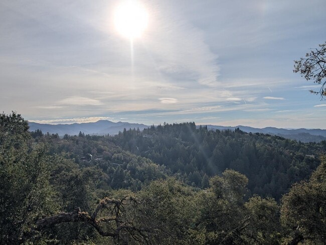 Photo - 23554 Mountain Charlie Rd
