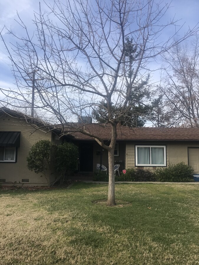 Photo - 1505 Wyant Way