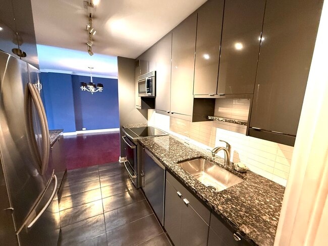 Photo - 1555 N Sandburg Terrace Unit 305K