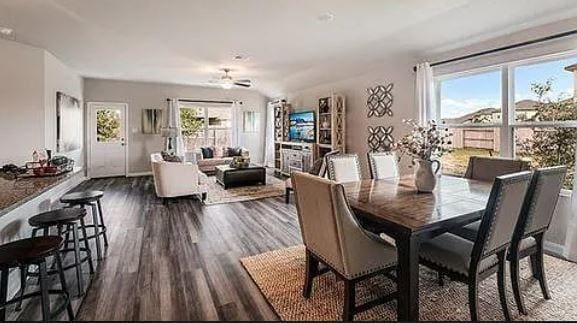 Photo - 2952 Whinchat