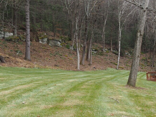 Photo - 392 Montague Rd