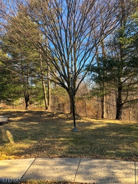 Photo - 25 Stevens Ct