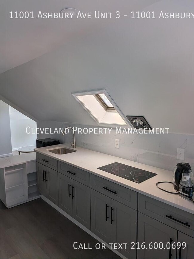 Photo - 11001 Ashbury Ave Unit 11001 Ashbury Ave  3 Cleveland, OH 44106