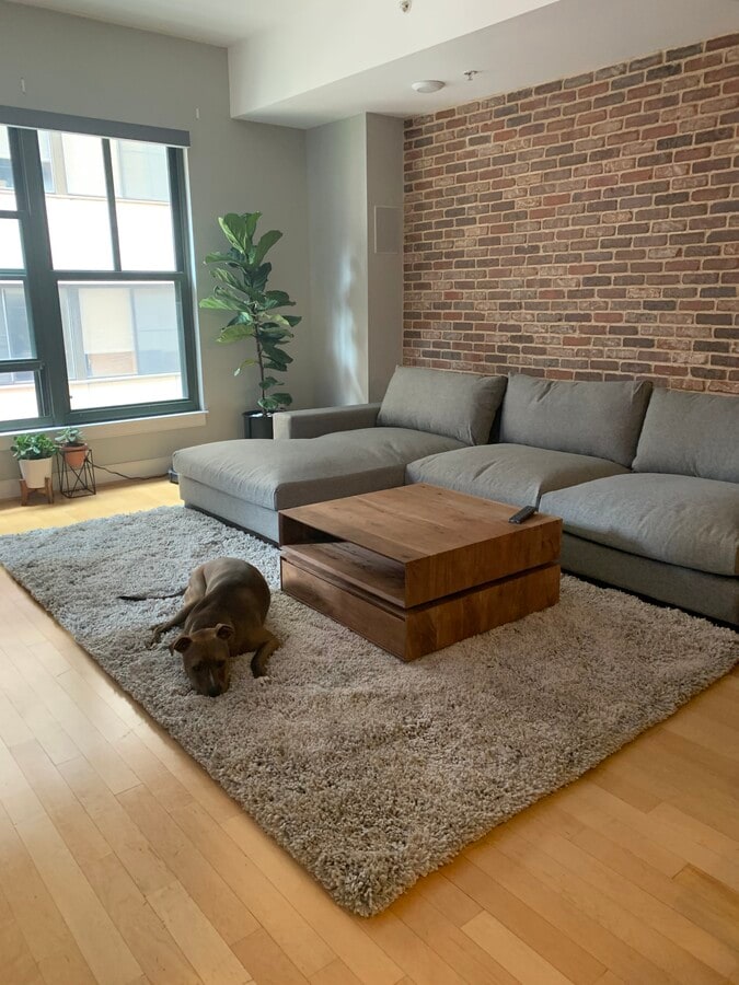 Photo - 910 M St NW Unidad 607 Rental